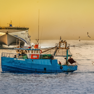 Barco de pesca